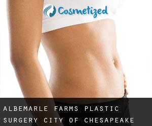 Albemarle Farms plastic surgery (City of Chesapeake, Virginia)
