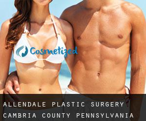 Allendale plastic surgery (Cambria County, Pennsylvania)
