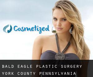 Bald Eagle plastic surgery (York County, Pennsylvania)