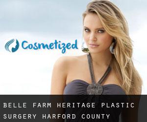 Belle Farm Heritage plastic surgery (Harford County, Maryland)
