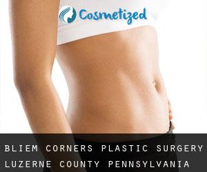 Bliem Corners plastic surgery (Luzerne County, Pennsylvania)