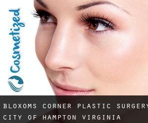 Bloxoms Corner plastic surgery (City of Hampton, Virginia)