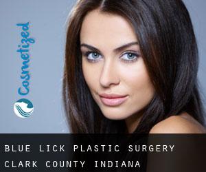 Blue Lick plastic surgery (Clark County, Indiana)