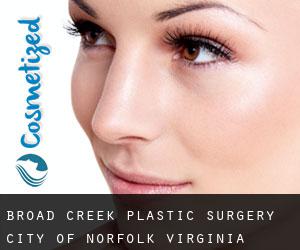 Broad Creek plastic surgery (City of Norfolk, Virginia)