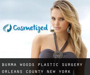 Burma Woods plastic surgery (Orleans County, New York)
