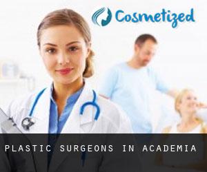 Plastic Surgeons in Academia