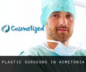 Plastic Surgeons in Acmetonia