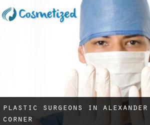 Plastic Surgeons in Alexander Corner