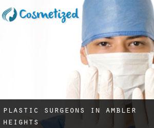 Plastic Surgeons in Ambler Heights