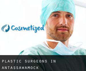 Plastic Surgeons in Antassawamock