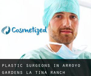 Plastic Surgeons in Arroyo Gardens-La Tina Ranch