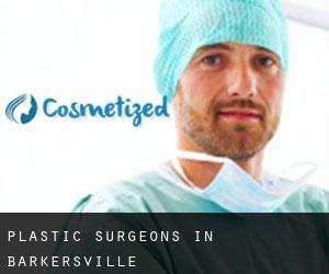 Plastic Surgeons in Barkersville
