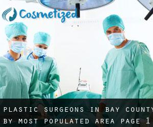 Plastic Surgeons in Bay County by most populated area - page 1
