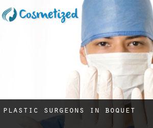 Plastic Surgeons in Boquet