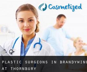 Plastic Surgeons in Brandywine at Thornbury