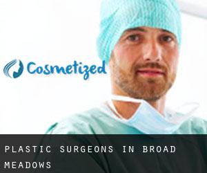 Plastic Surgeons in Broad Meadows