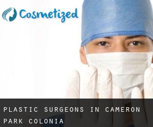Plastic Surgeons in Cameron Park Colonia