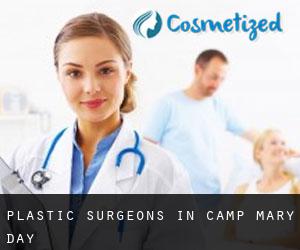 Plastic Surgeons in Camp Mary Day