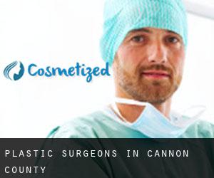 Plastic Surgeons in Cannon County