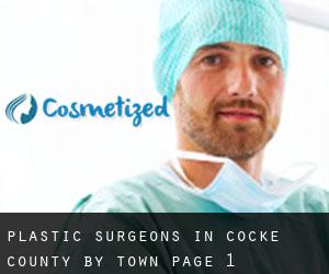 Plastic Surgeons in Cocke County by town - page 1