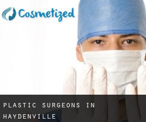Plastic Surgeons in Haydenville