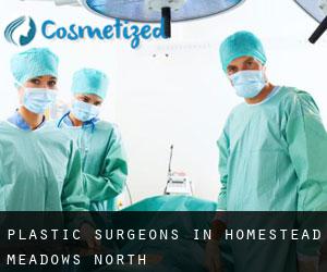 Plastic Surgeons in Homestead Meadows North
