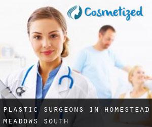 Plastic Surgeons in Homestead Meadows South