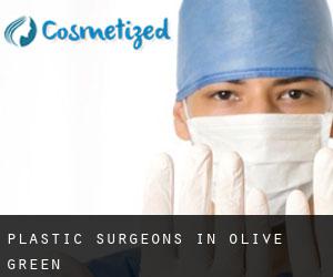Plastic Surgeons in Olive Green