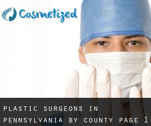 Plastic Surgeons in Pennsylvania by County - page 1