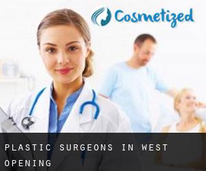 Plastic Surgeons in West Opening