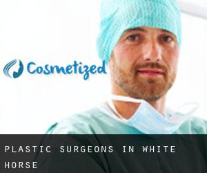 Plastic Surgeons in White Horse