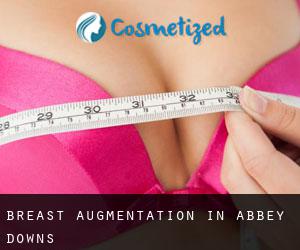 Breast Augmentation in Abbey Downs