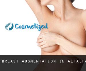 Breast Augmentation in Alfalfa