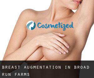 Breast Augmentation in Broad Run Farms