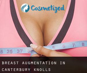 Breast Augmentation in Canterbury Knolls