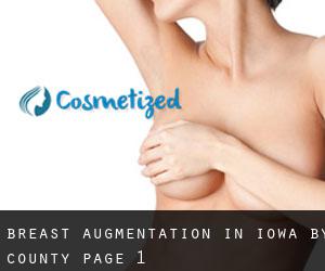 Breast Augmentation in Iowa by County - page 1
