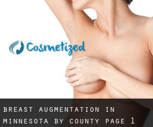 Breast Augmentation in Minnesota by County - page 1
