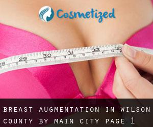 Breast Augmentation in Wilson County by main city - page 1
