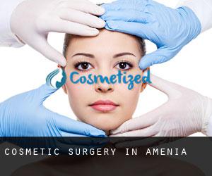 Cosmetic Surgery in Amenia
