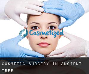 Cosmetic Surgery in Ancient Tree