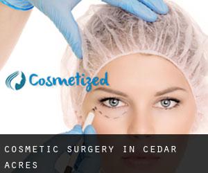 Cosmetic Surgery in Cedar Acres