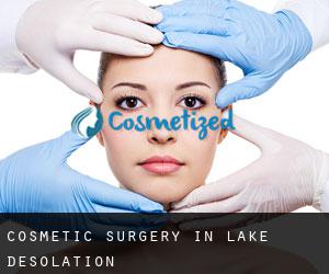Cosmetic Surgery in Lake Desolation