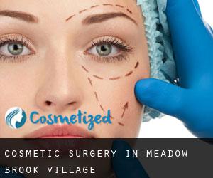 Cosmetic Surgery in Meadow Brook Village