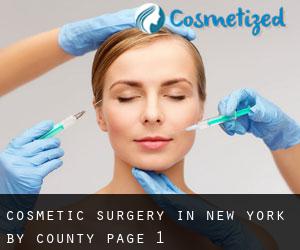 Cosmetic Surgery in New York by County - page 1