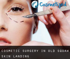 Cosmetic Surgery in Old Squaw Skin Landing