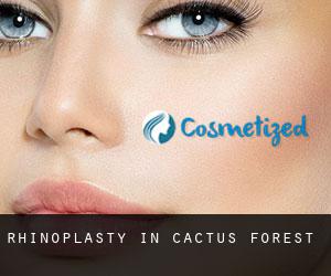 Rhinoplasty in Cactus Forest