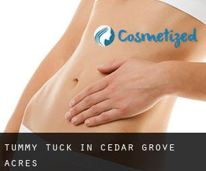 Tummy Tuck in Cedar Grove Acres