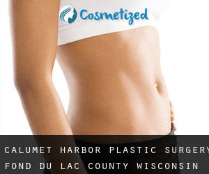 Calumet Harbor plastic surgery (Fond du Lac County, Wisconsin)