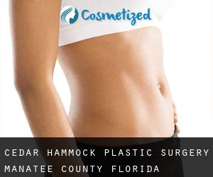 Cedar Hammock plastic surgery (Manatee County, Florida)
