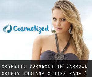 cosmetic surgeons in Carroll County Indiana (Cities) - page 1